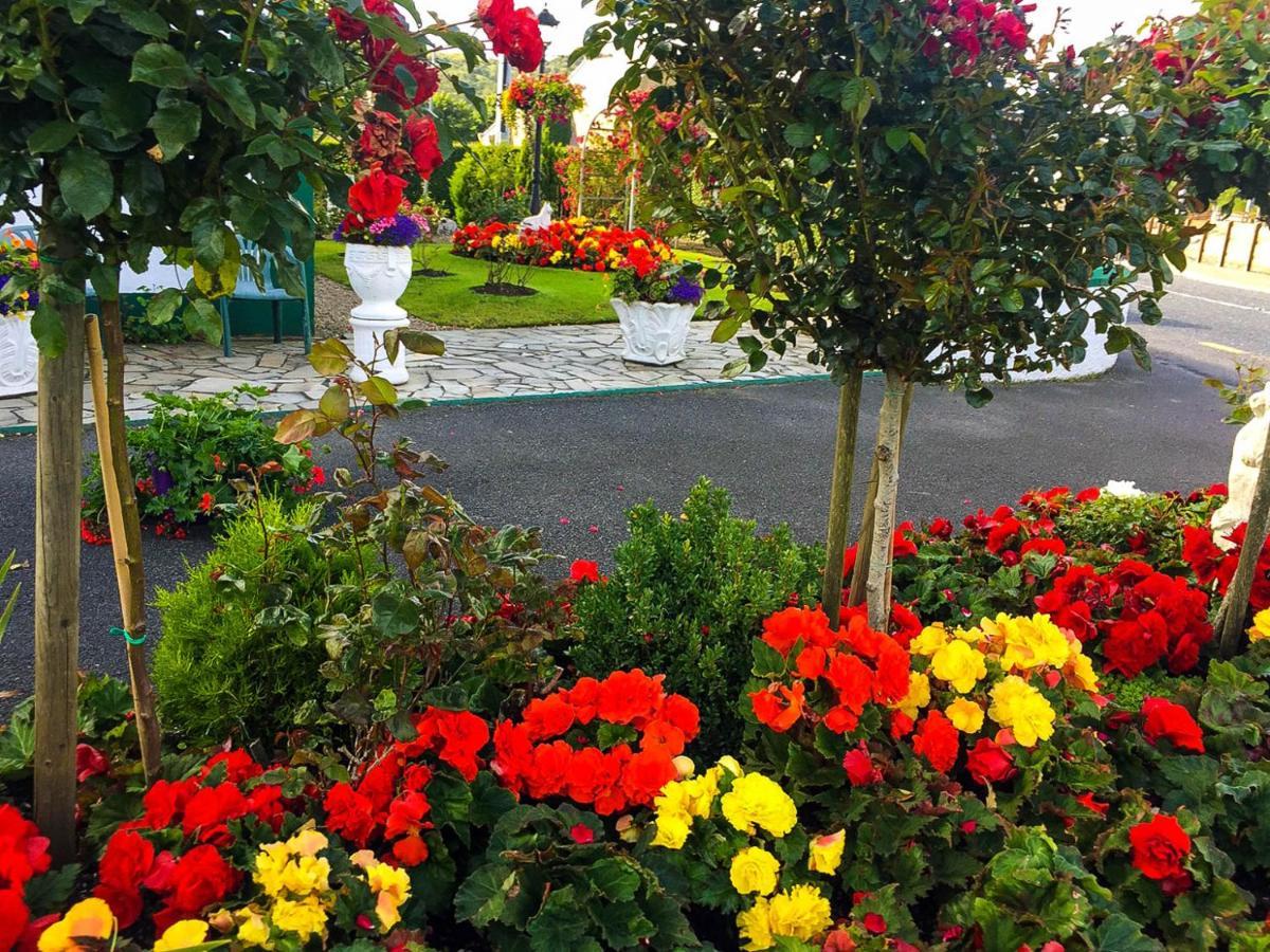 Bruckless Rest - Fine Country Living Bed and Breakfast Milltown  Exteriör bild